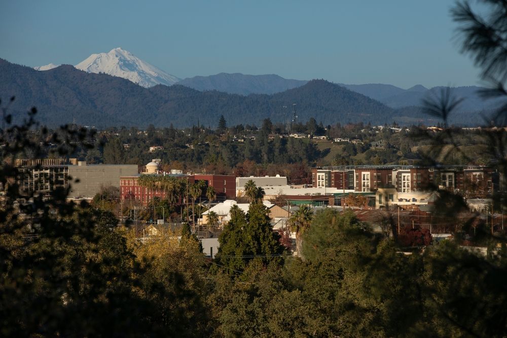 Cityscape with snow-capped mountain in the distance, viewed through trees.