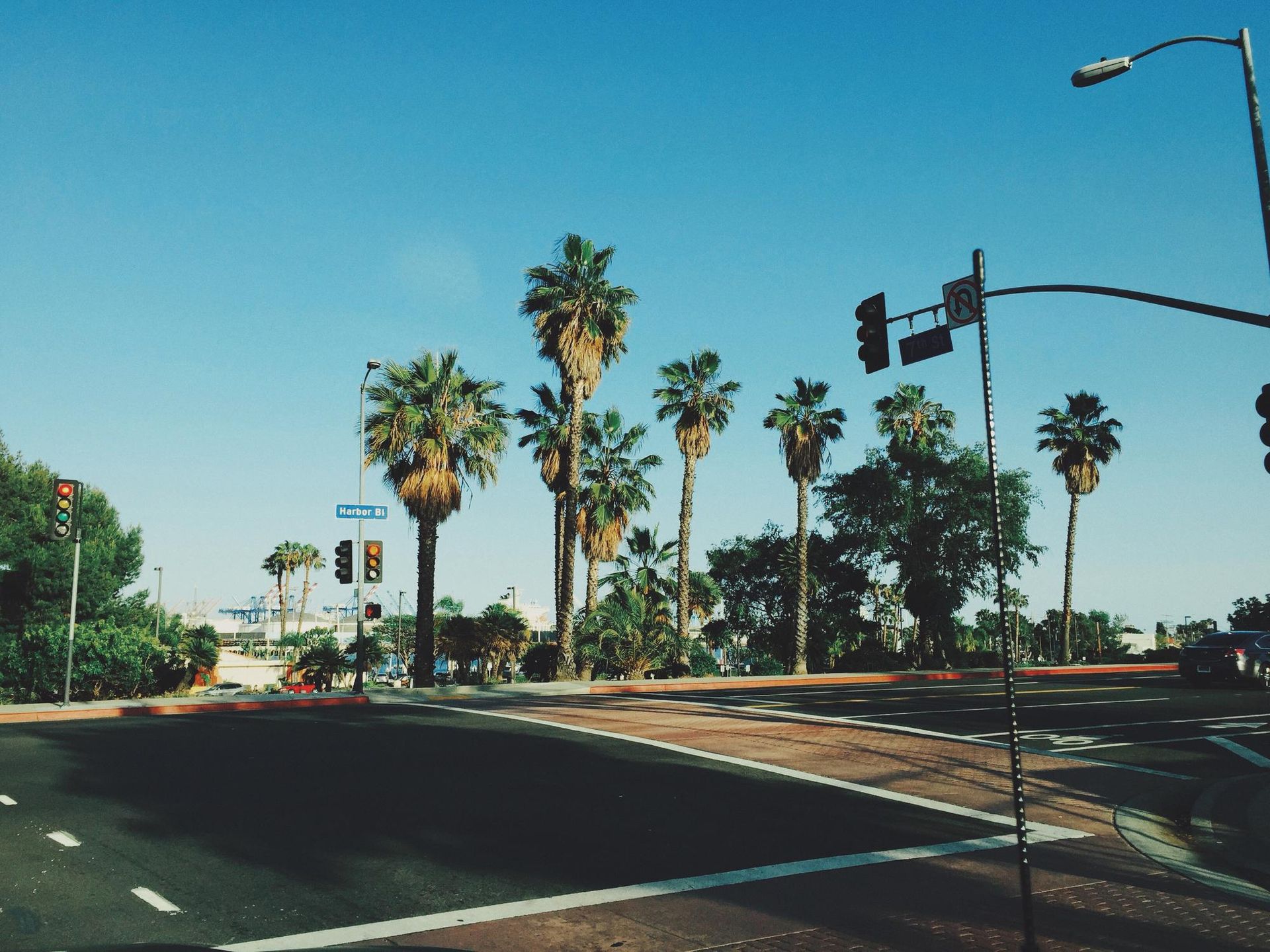 Street scene with palm trees under a clear, blue sky. Traffic lights and crosswalk present.