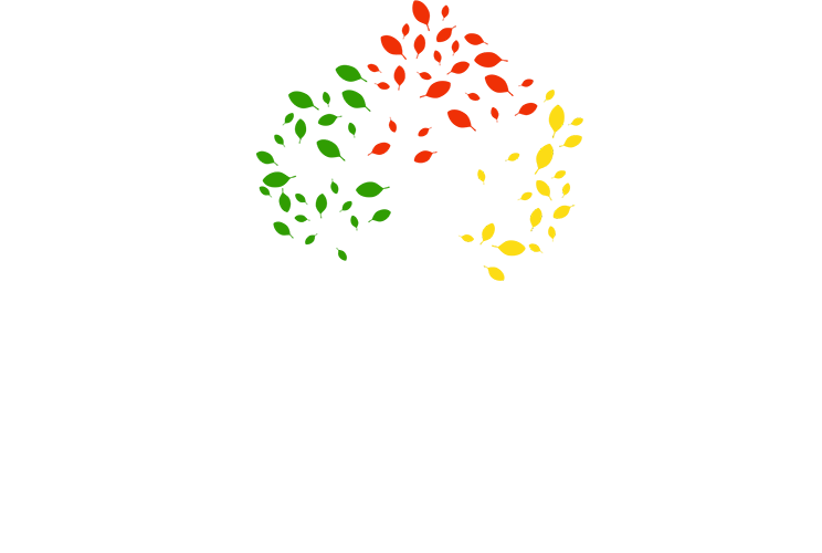 Colorful leaves, green, red, and yellow, arranged in a heart-like shape.