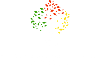 Colorful leaves, green, red, and yellow, arranged in a heart-like shape.