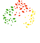 Green, red, and yellow leaves scattered in a spiral shape.