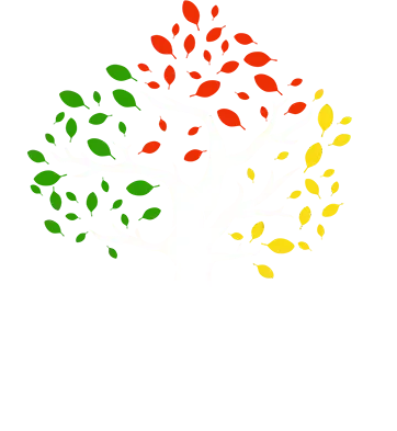 Green, red, and yellow leaves scattered in a spiral shape.