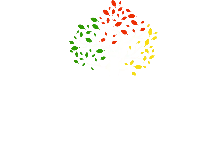Green, red, and yellow leaves arranged in a curved, upward-pointing design against a white background.