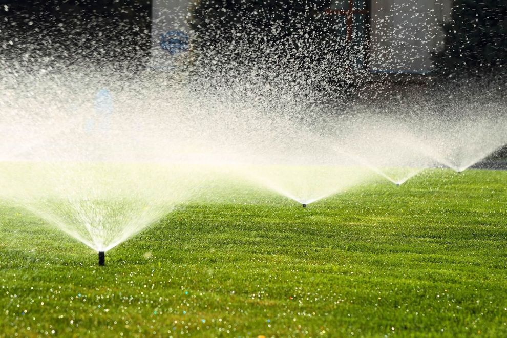 Sprinklers watering green lawn; water spraying into the air on a sunny day.