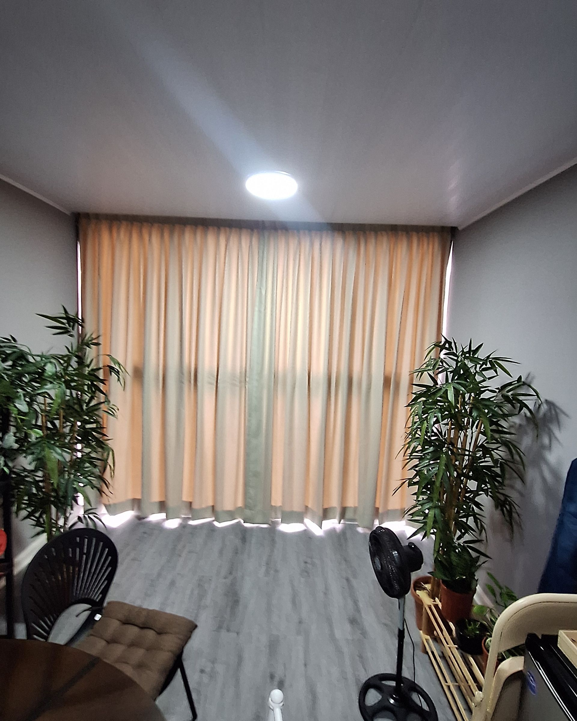 Habitación con cortinas color canela, dos plantas y suelo gris imitación madera. Hay un ventilador junto a una planta.