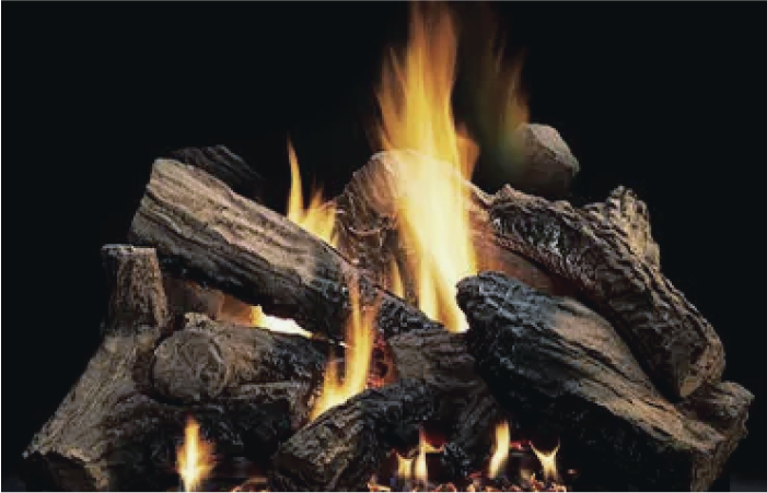 image of logs on fire