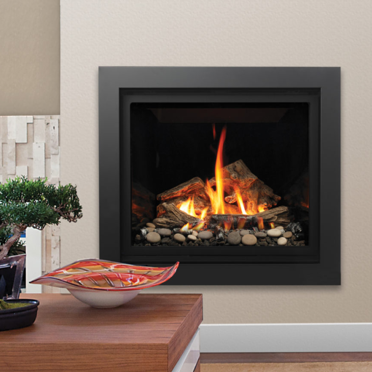 A living room with a fireplace and a bonsai tree