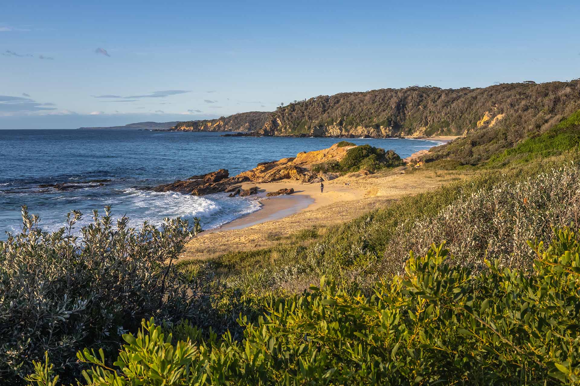 Dog friendly holidays on the Sapphire Coast, NSW