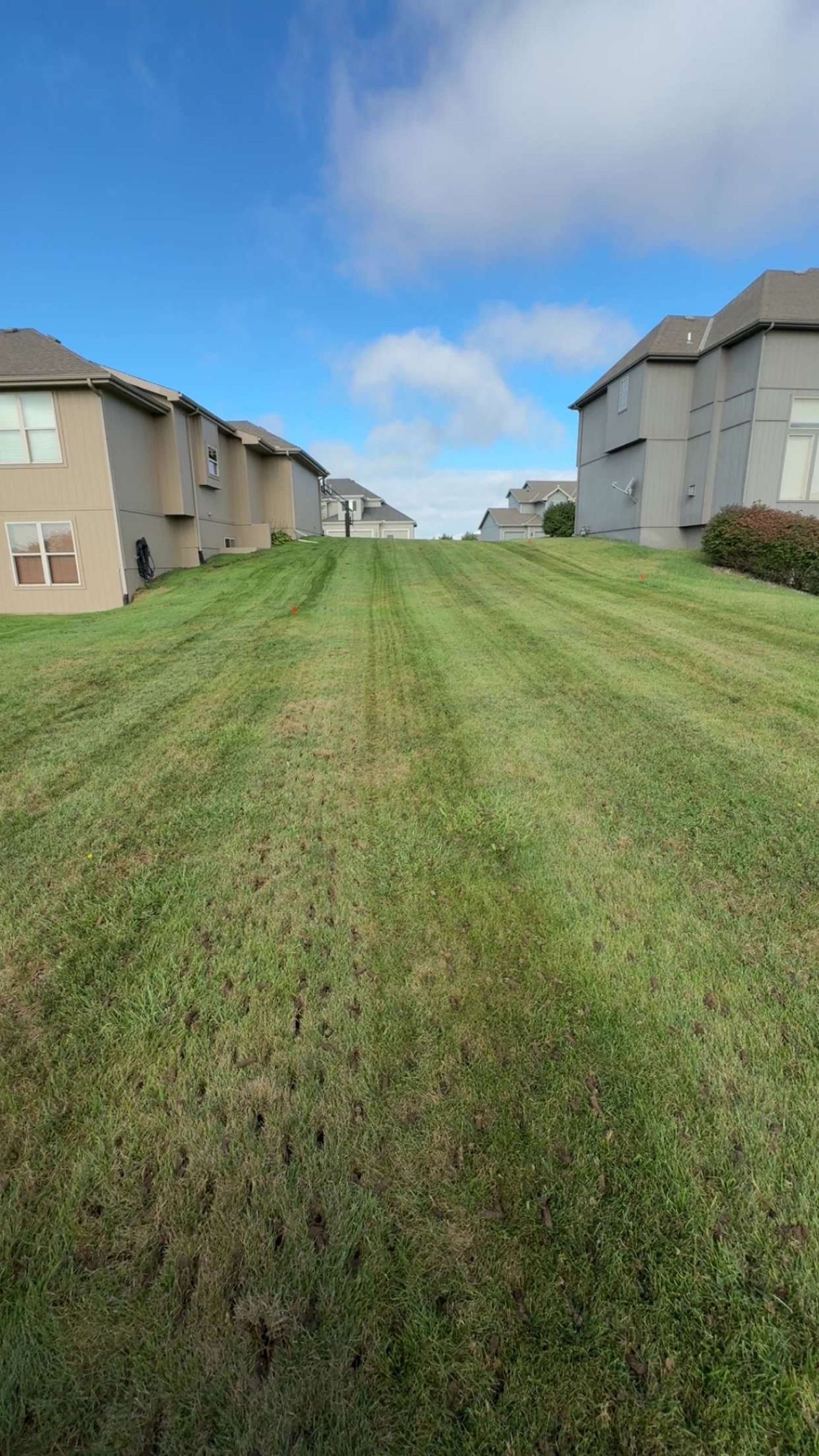 Lawn mowed in stripes between houses under a blue sky with some clouds.