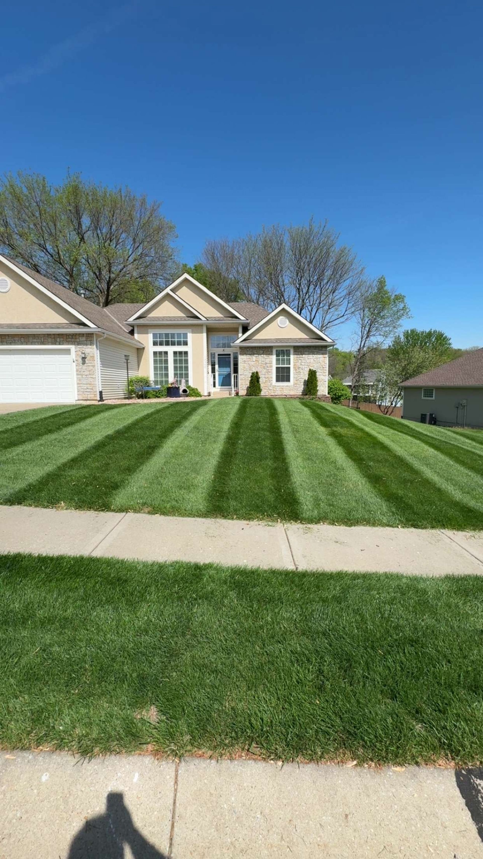 A house with striped lawn; alternating bands of dark and light green grass under a clear blue sky.