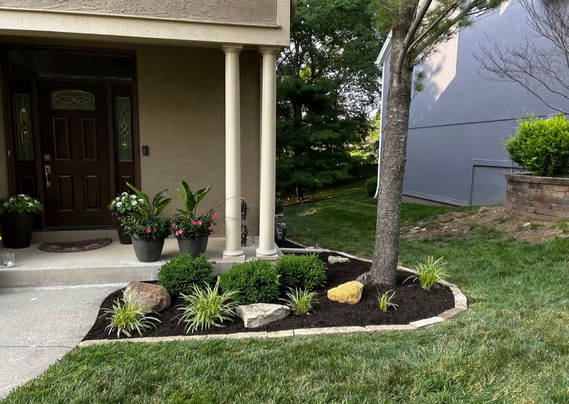 Front yard landscaping with plants, rocks, and dark mulch around a tree.