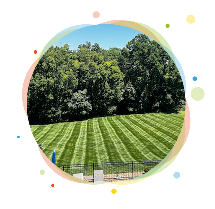 Green lawn with striped mowing pattern, trees, and a blue sky.