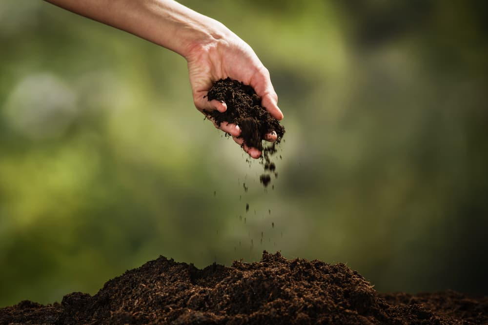 Hand full of soil for a green burial service | Kilpatrick's Rose-Neath Funeral Homes
