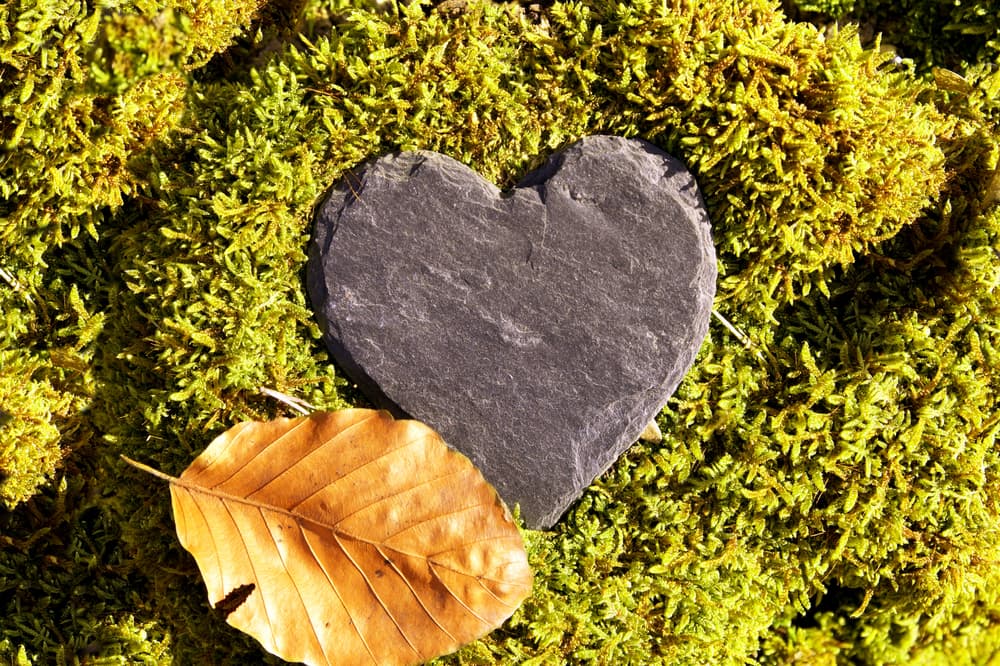 Heart shaped rock for green burial | Kilpatrick's Rose-Neath Funeral Homes