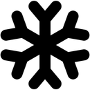 A black and white silhouette of a snowflake on a white background.