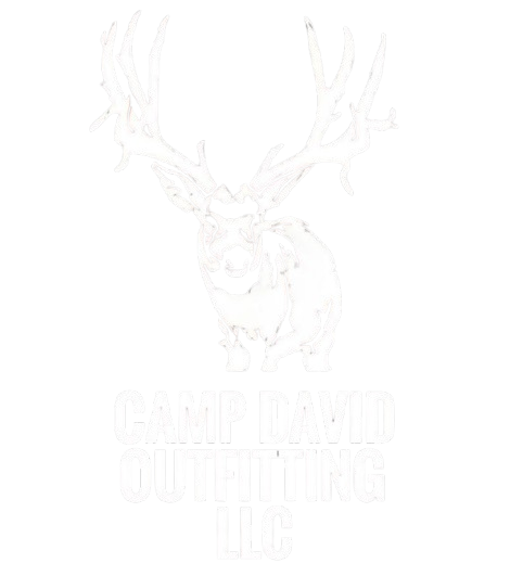 White buck head silhouette with large antlers above "CAMP DAVID OUTFITTING LLC" text on black background.