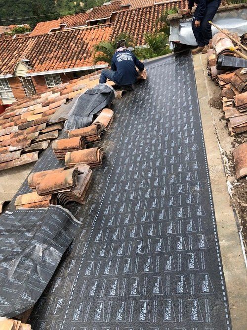 Mantenimiento y limpieza de techos