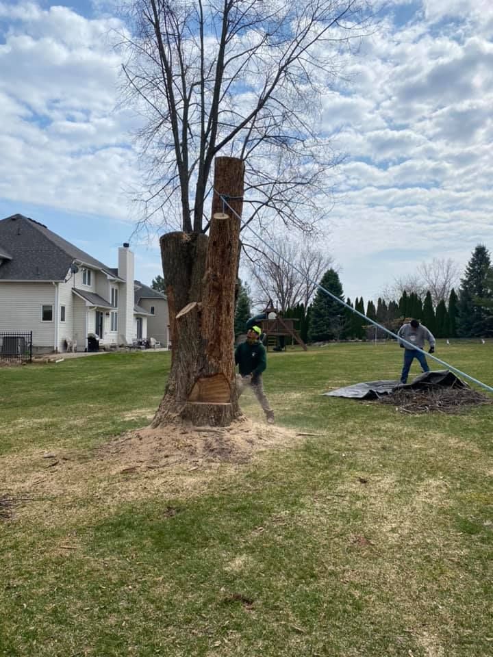 Two Men Pruning A Tree - Orion, MI - L & L Tree Service-LO, Inc