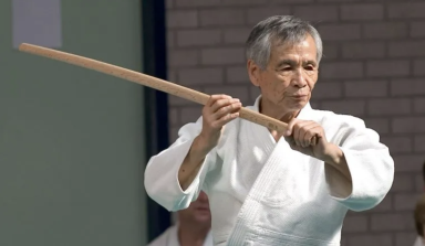 Nobuyoshi Tamura Aikido