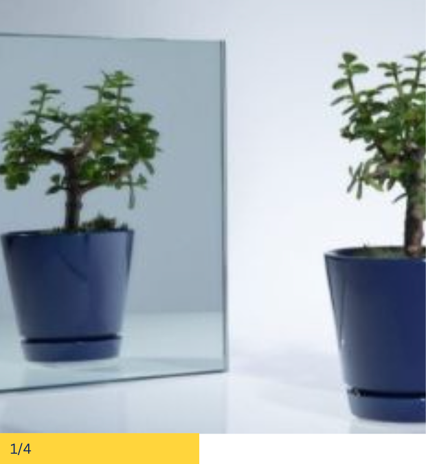 A potted green bonsai reflected in a silver mirror, placed on a white surface.
