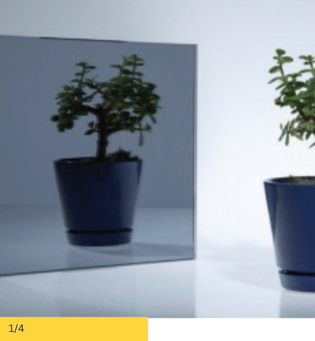 Mirror reflecting a potted plant, with a second plant next to the mirror; neutral background.