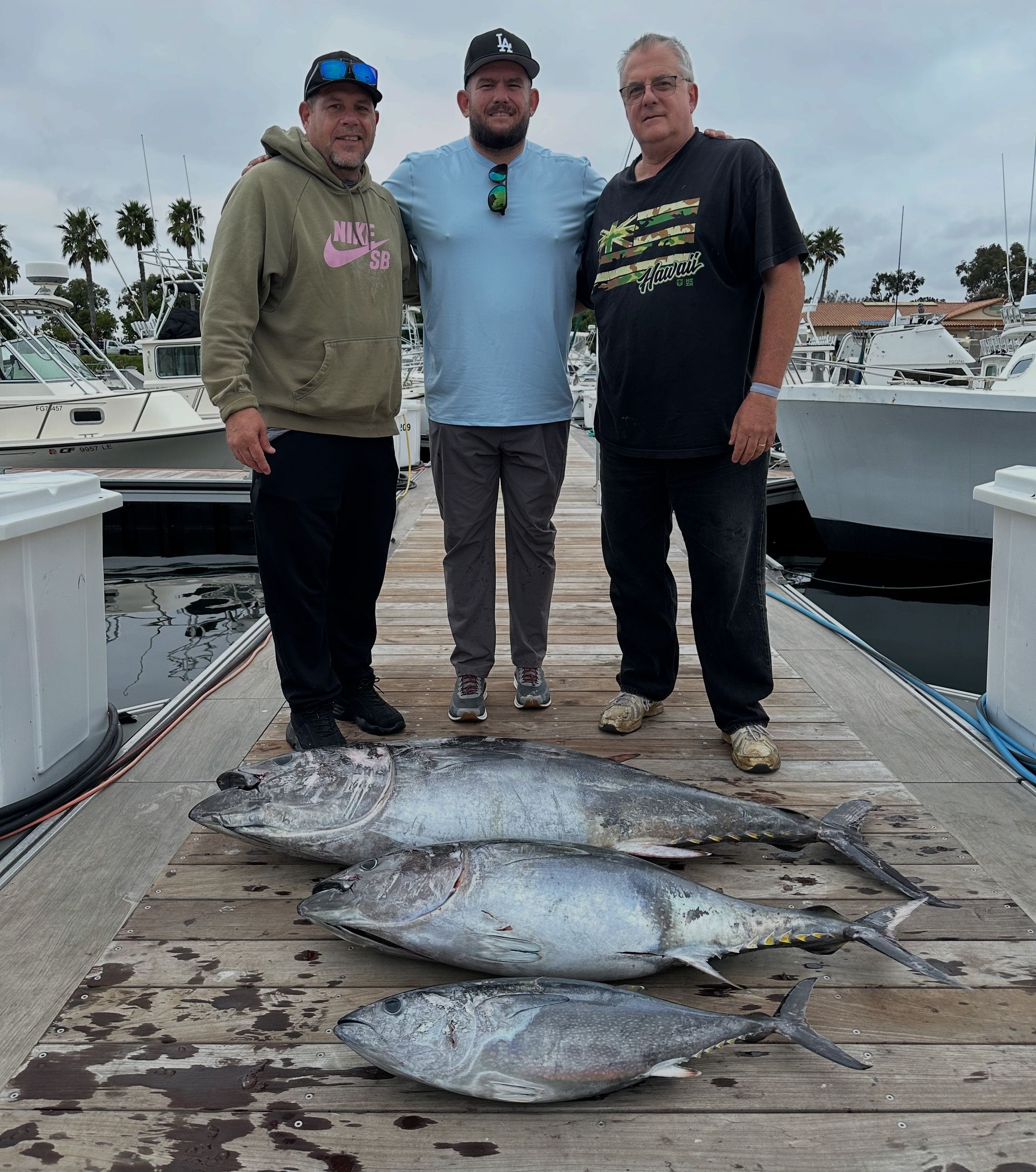 Today's Catch of Bluefin Tuna