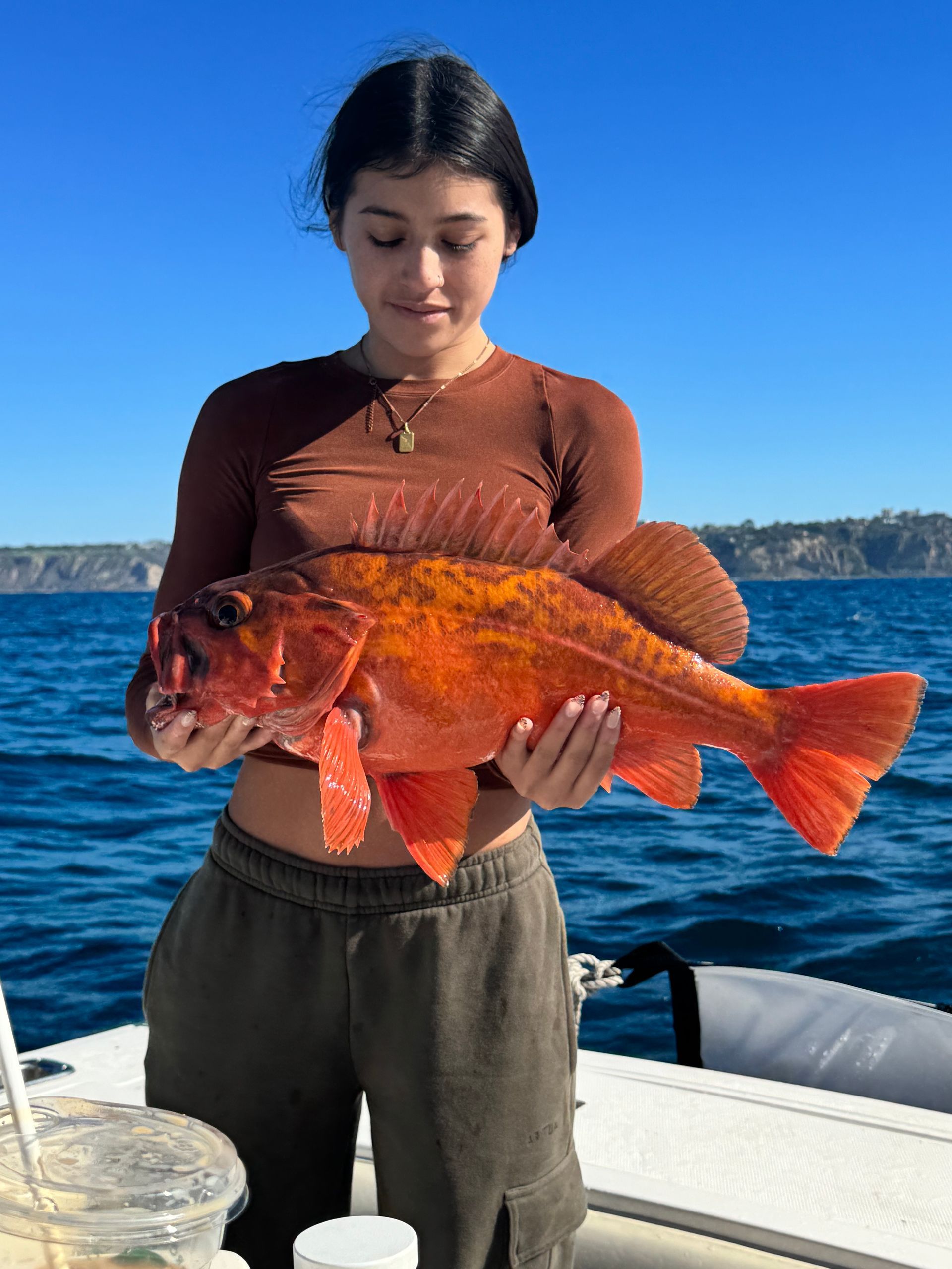 cod fishing mexico san diego