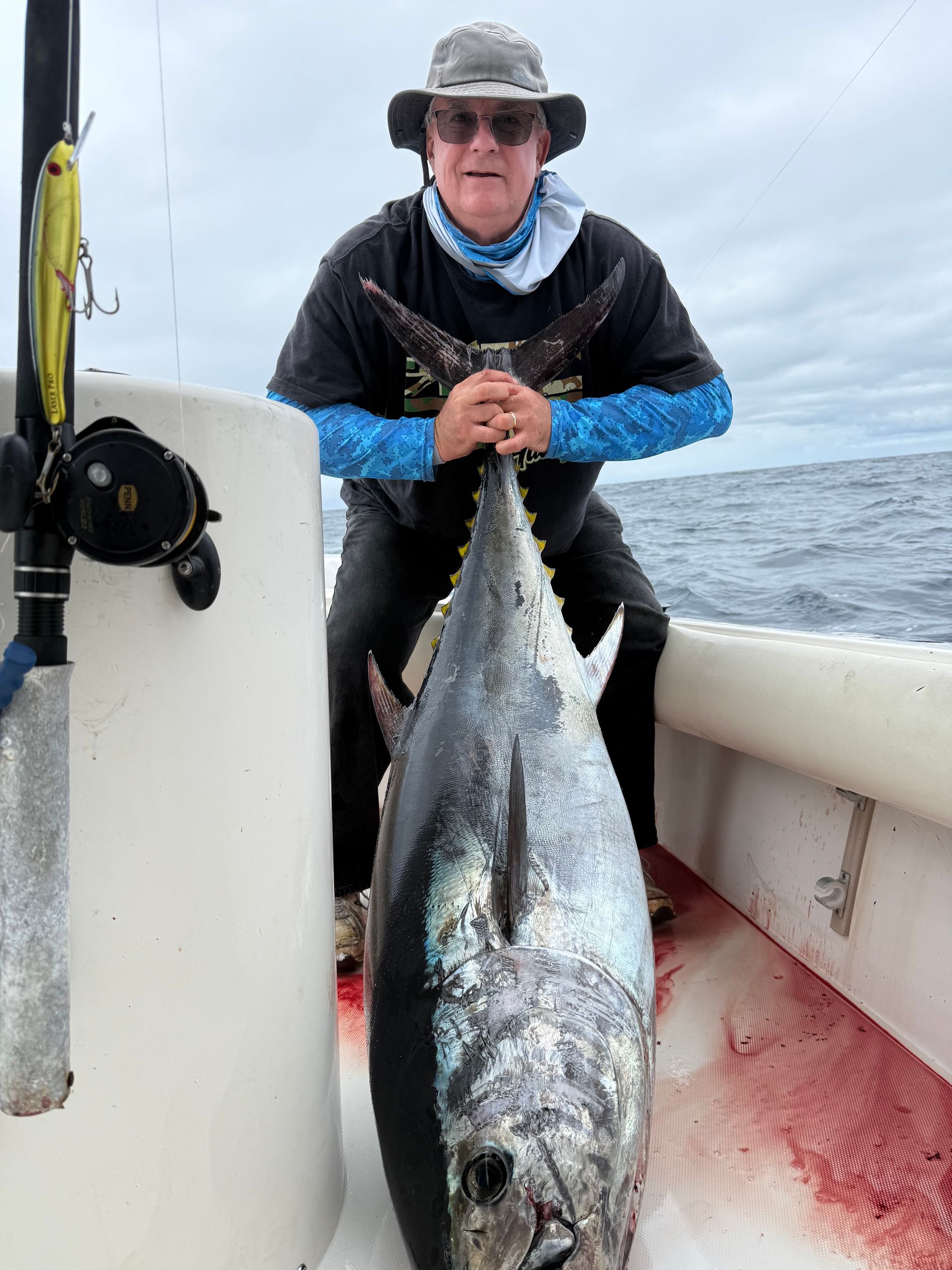 bluefin tuna