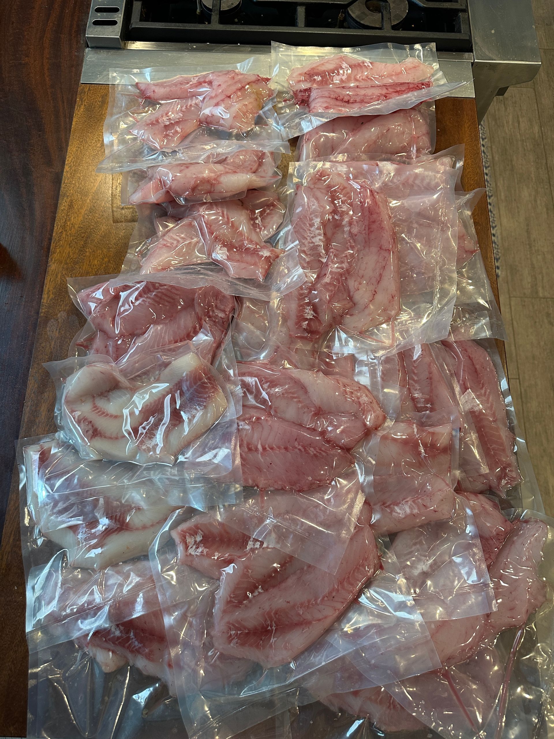 Catch Rockfish San Diego Charters