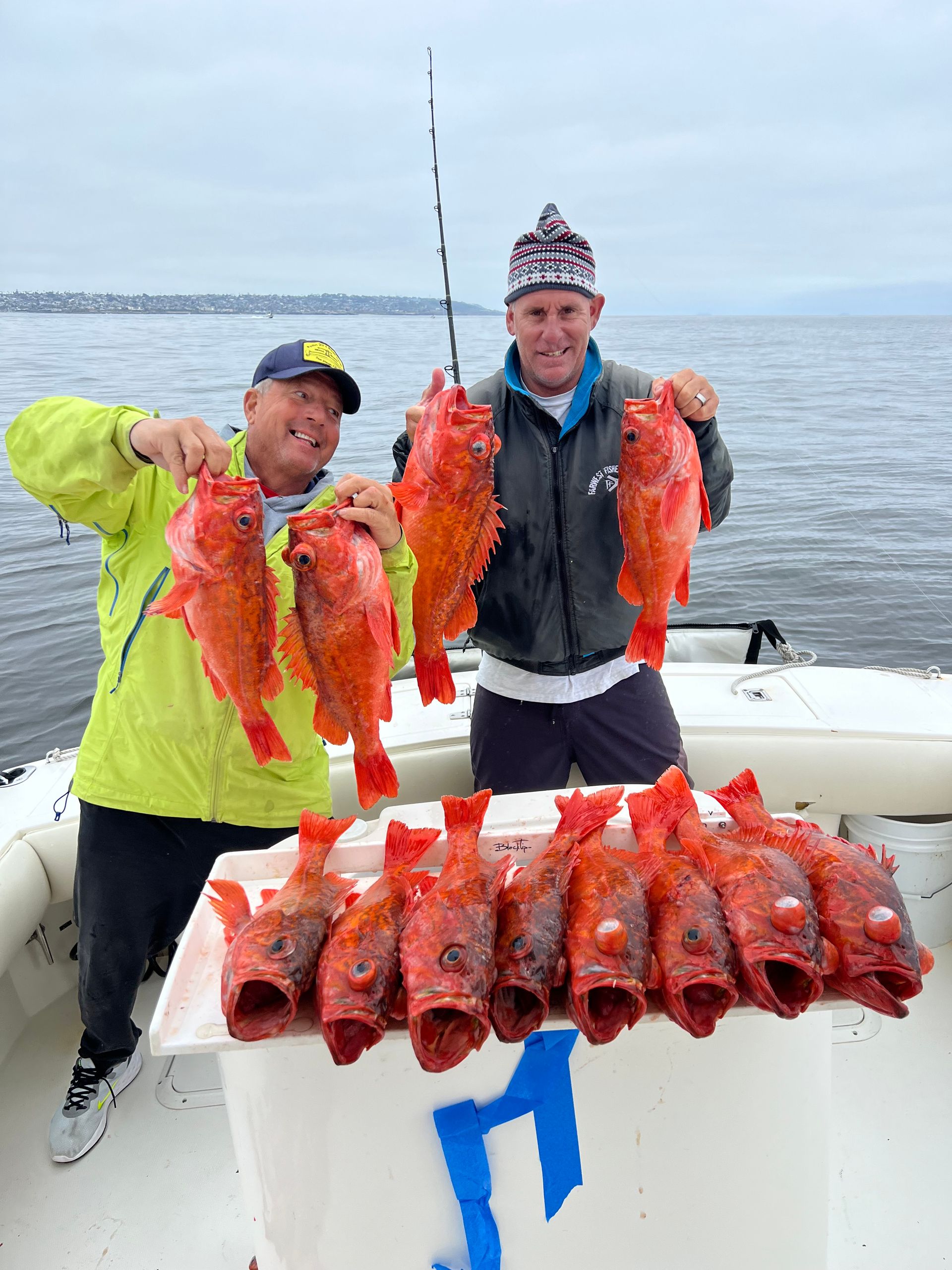 Two men are holding a bunch of red fish on a boat