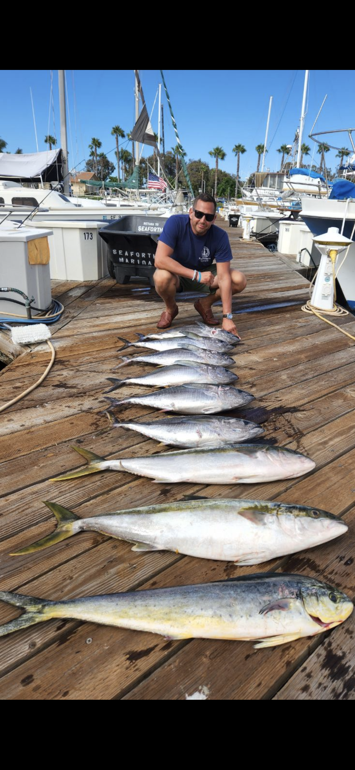 A man is kneeling down next to a bunch of fish on a dock.