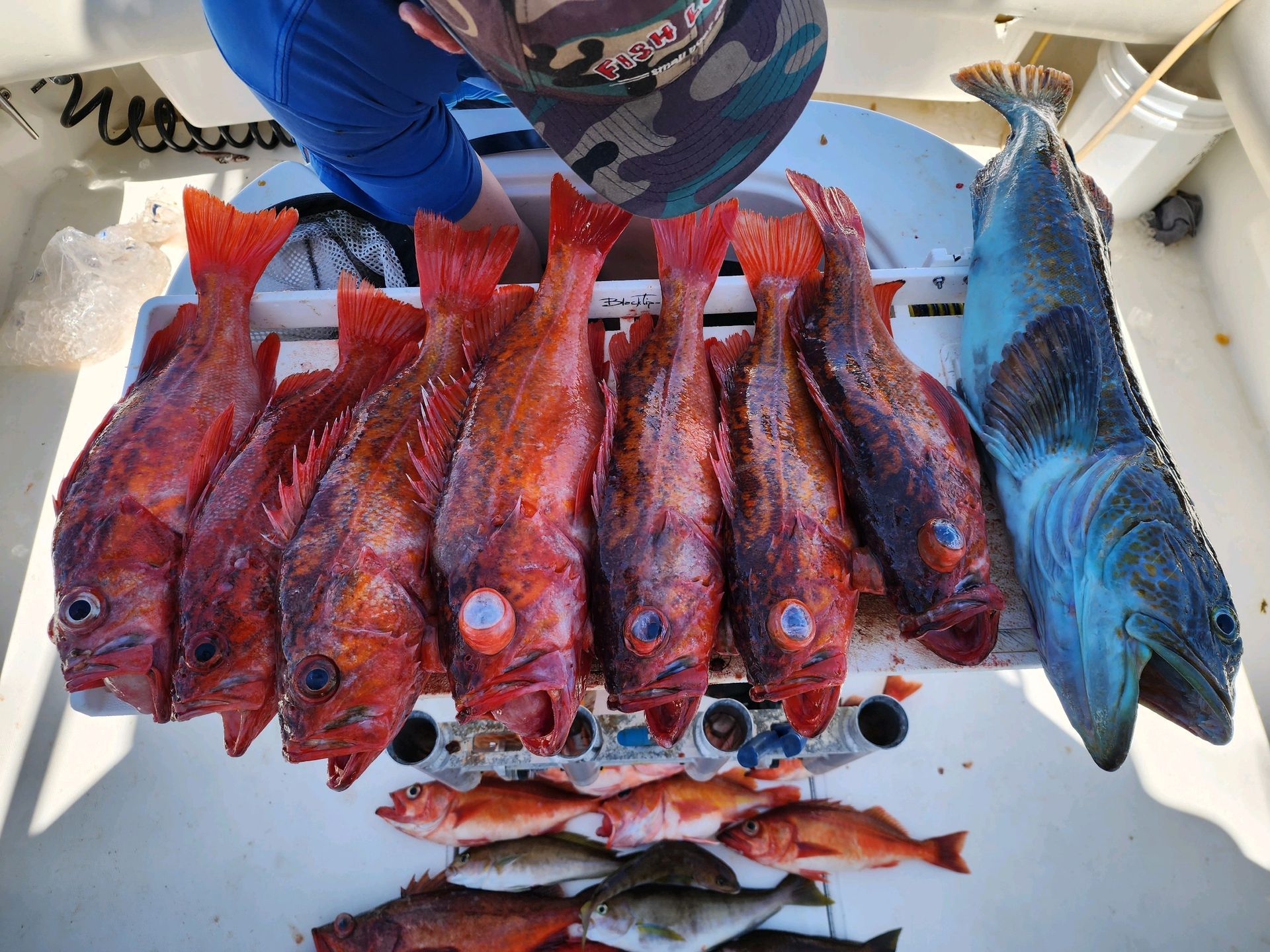 A bunch of fish are sitting on a table on a boat.