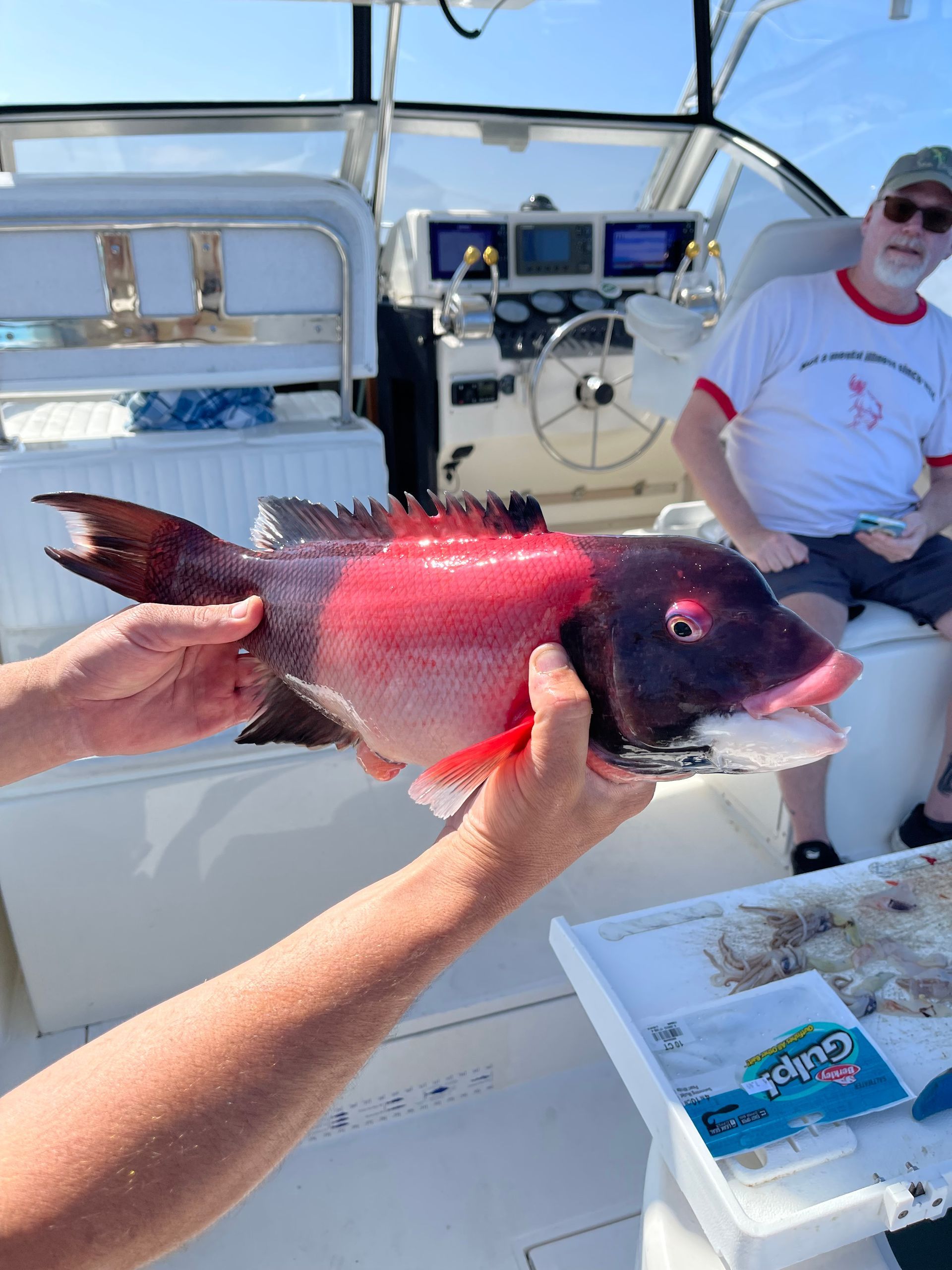 A person is holding a fish on a boat.