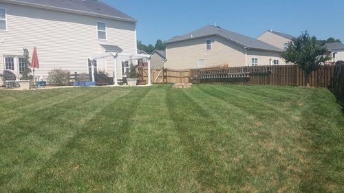 A backyard with a lush green lawn and a fence.