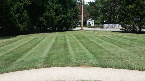 A lush green lawn with striped grass and trees in the background.