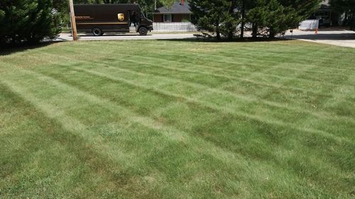 A lush green lawn with a truck parked in the background.