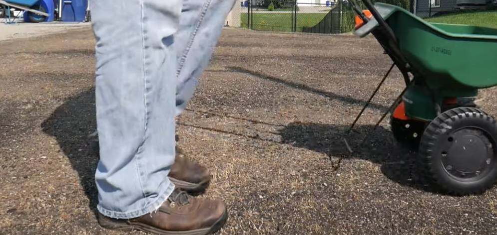 affordable grass trimming rock hill sc