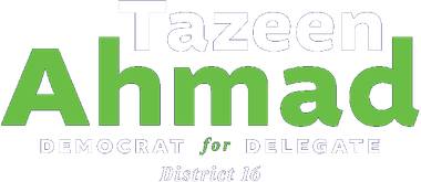 Dark blue and lime green logo for Tazeen Ahmad, democrat for delegate
