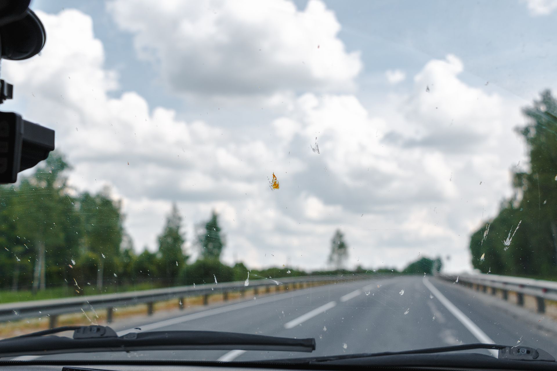 Dealing with Stubborn Bug Marks on Your Windshield | George's Complete Auto Repair