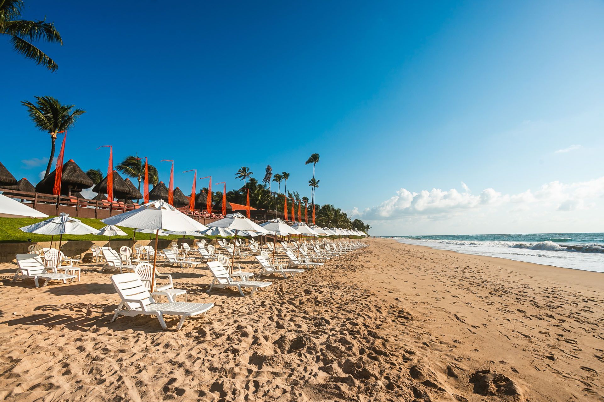 Há muitas cadeiras e guarda-sóis na praia.
