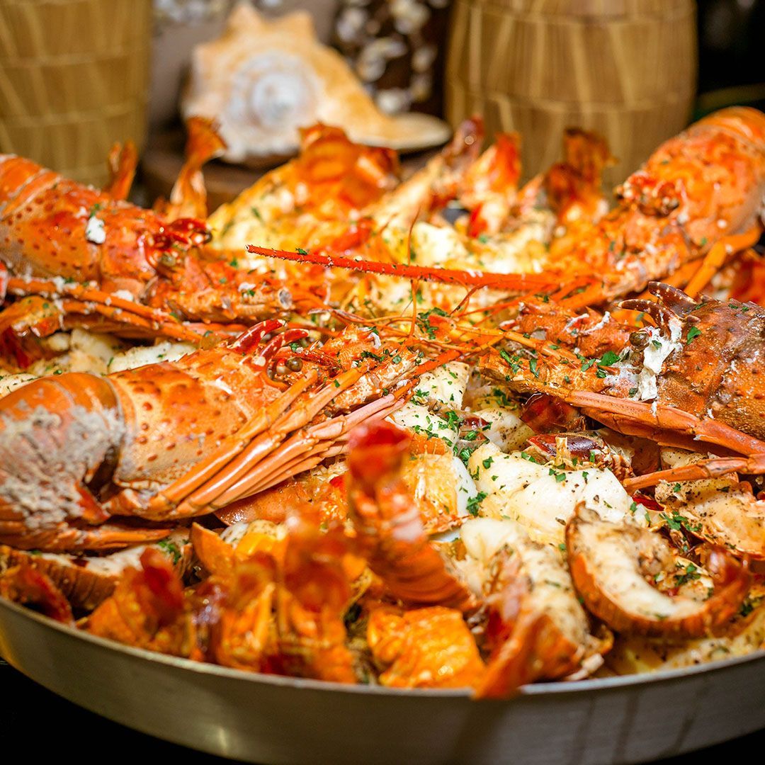 Um grupo de pessoas usando chapéus de Papai Noel estão posando para uma foto em frente a uma piscina.