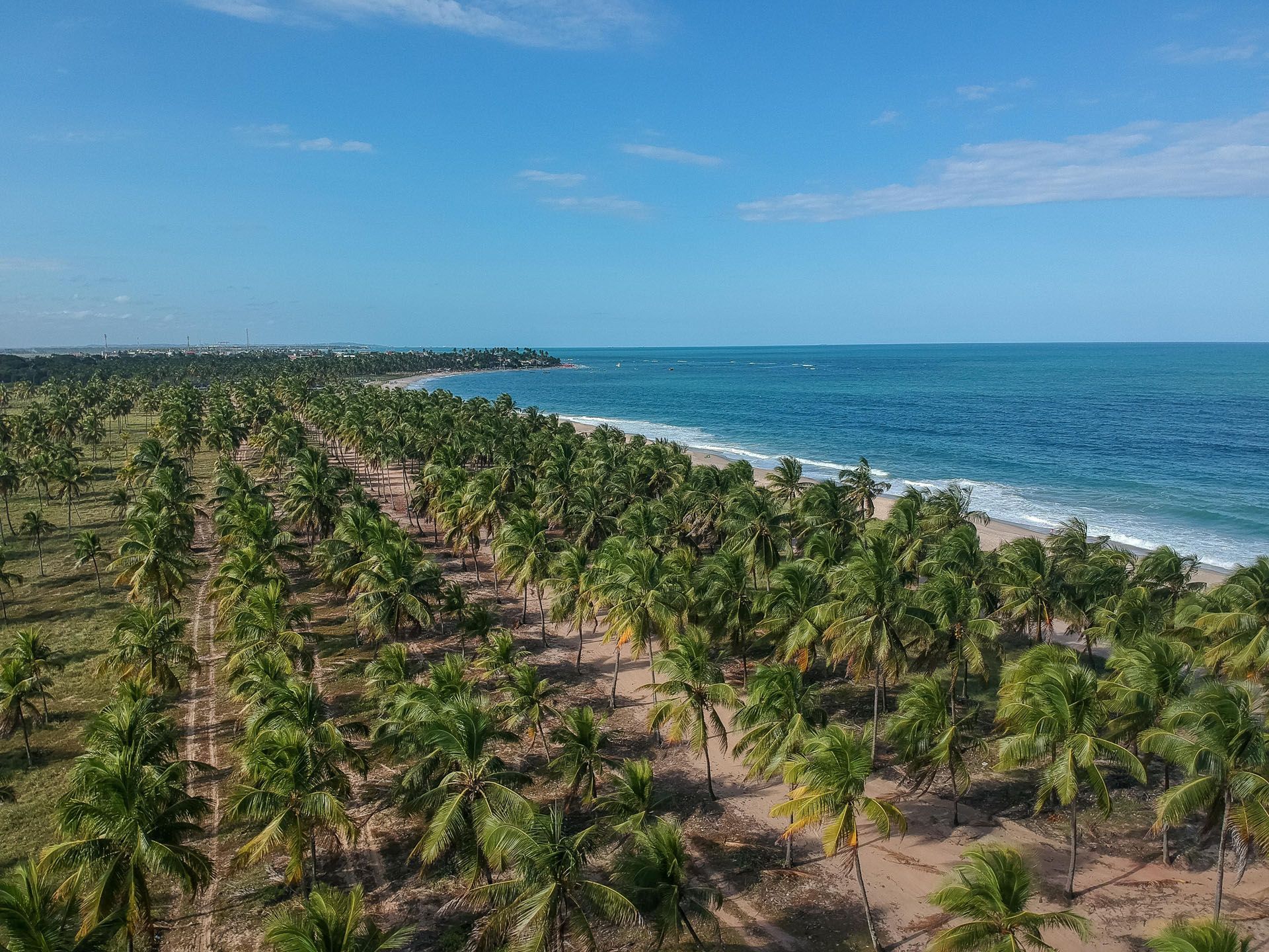 Uma vista aérea de uma praia cercada por palmeiras e o oceano.