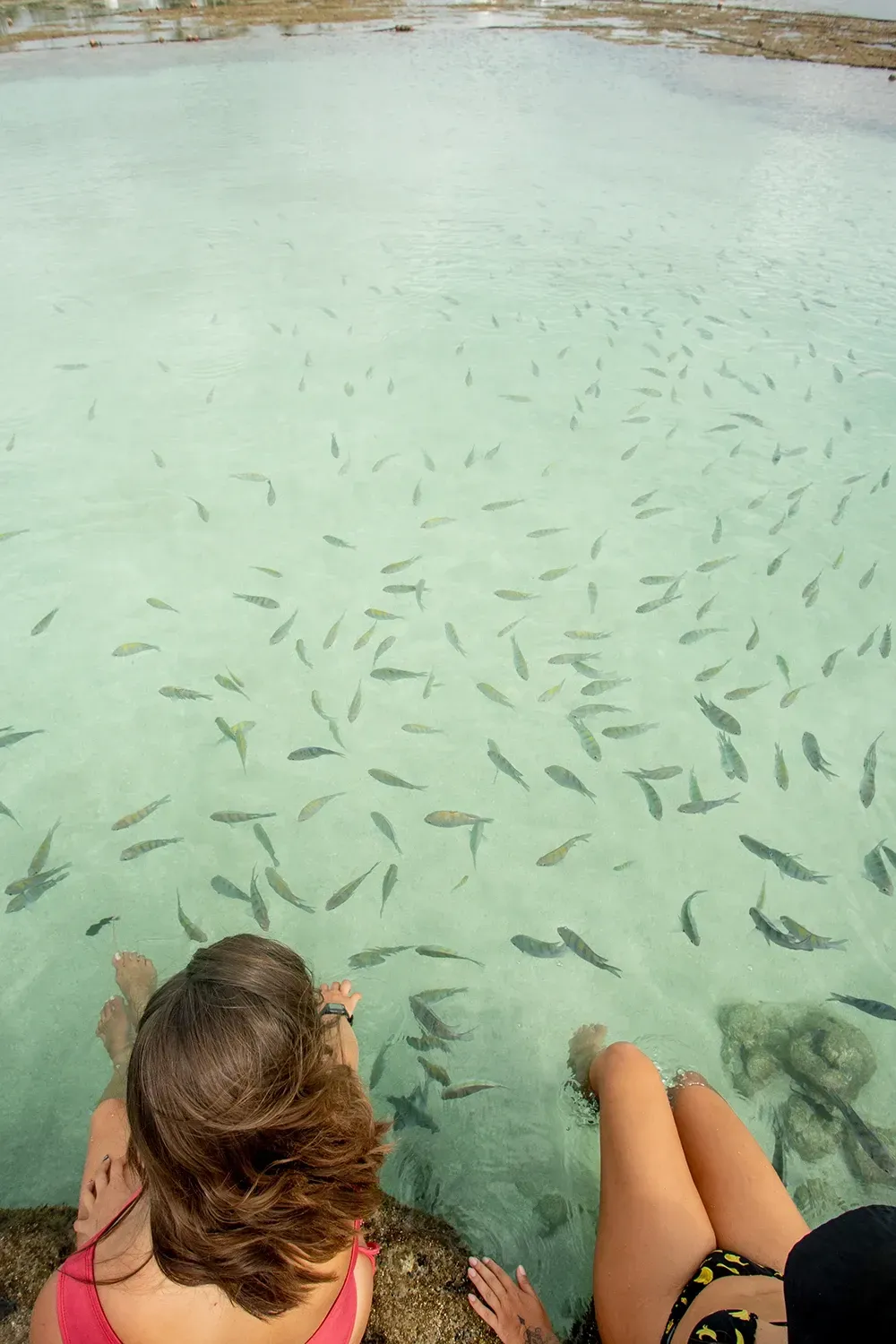 Duas mulheres estão sentadas em uma pedra na água olhando para os peixes.