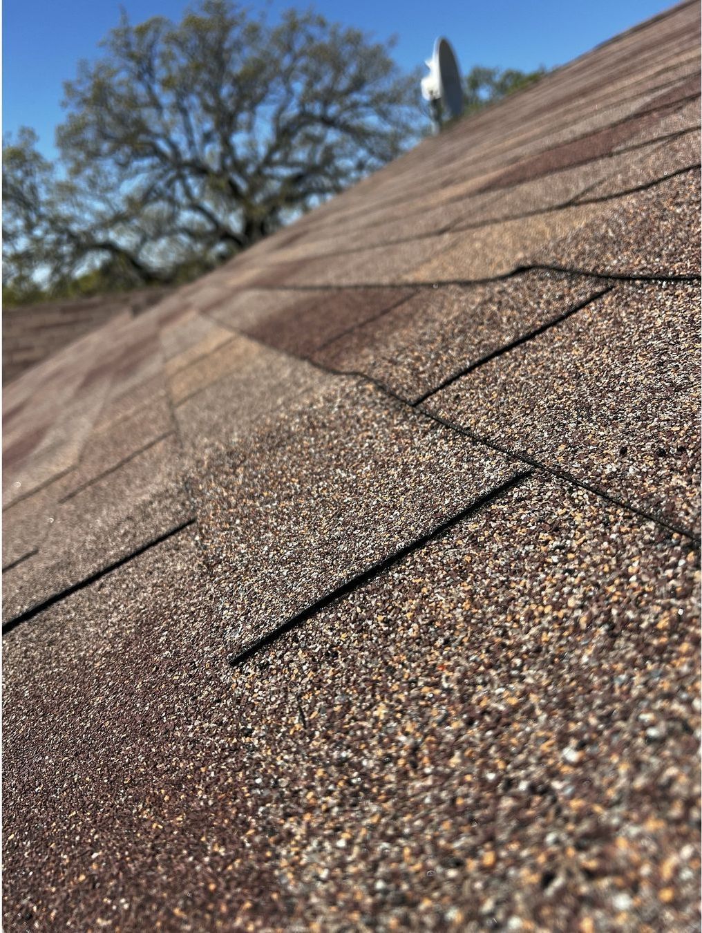 A close up of a roof with a tree in the background