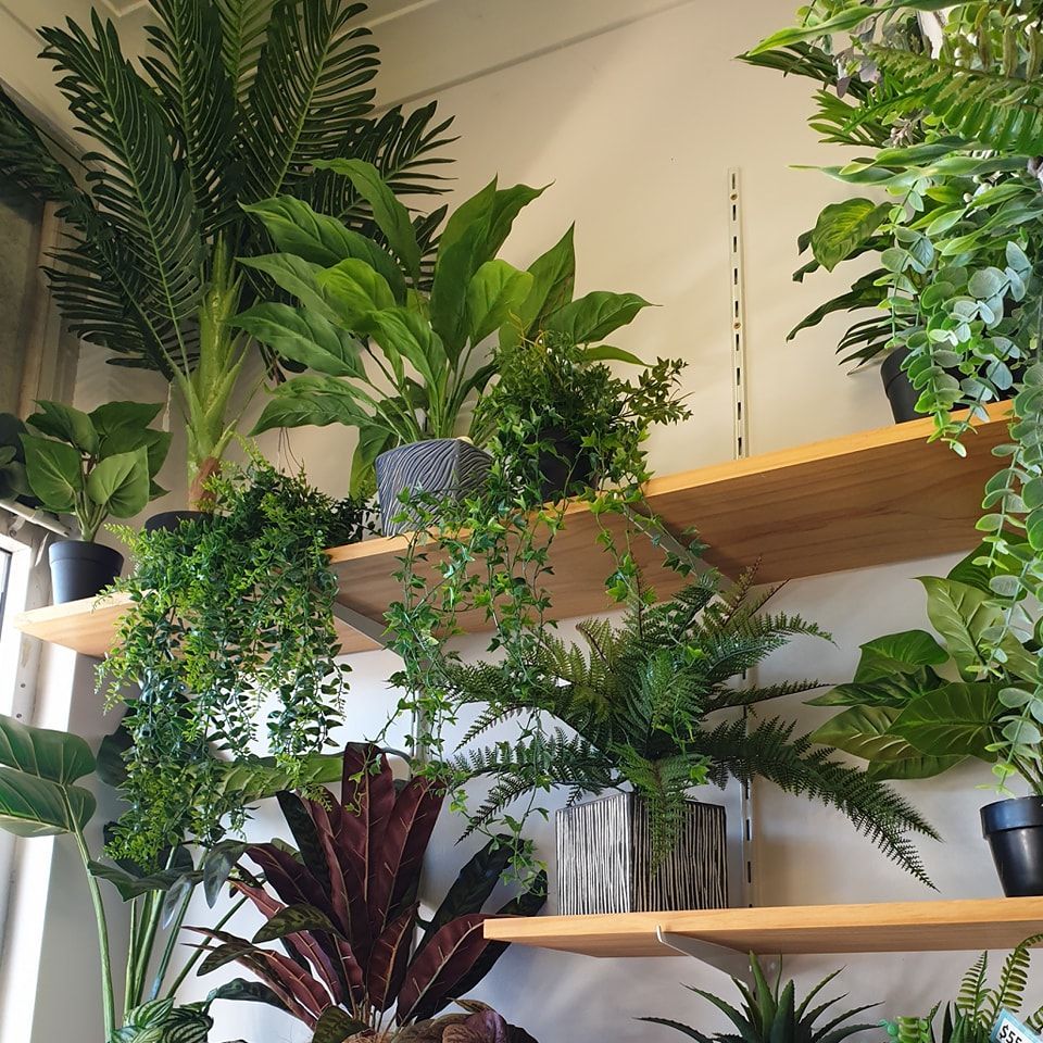 A Bunch of Purple and Pink Flowers Are Sitting on a Table — The Flower Station Townsville In Kirwan, QLD