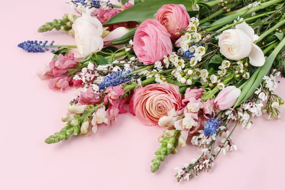 A Bouquet of Pink and White Flowers on a Pink Background — The Flower Station Townsville In Kirwan, QLD A Bouquet of Pink and White Flowers on a Pink Background — The Flower Station Townsville In Kirwan, QLD