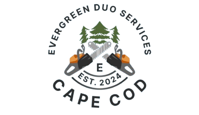 Logo for Evergreen Duo Services of Cape Cod featuring crossed chainsaws and pine trees.