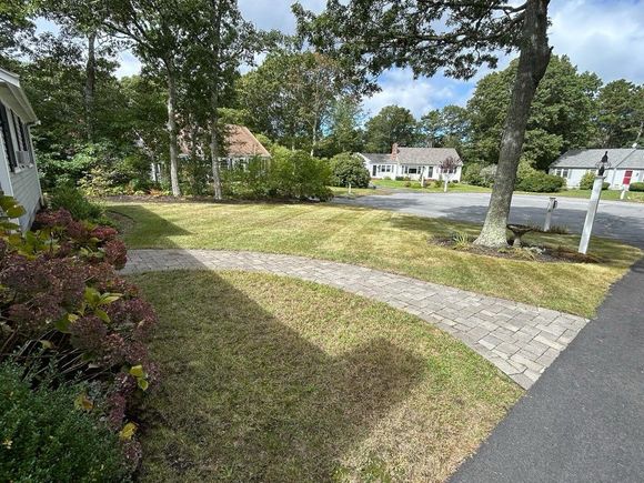 Landscaped area with dark mulch, golden shrubs, and a gravel walkway alongside a shingled house.