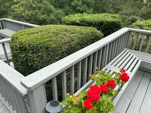 Gray wooden deck with green hedges and red flowers in a planter.