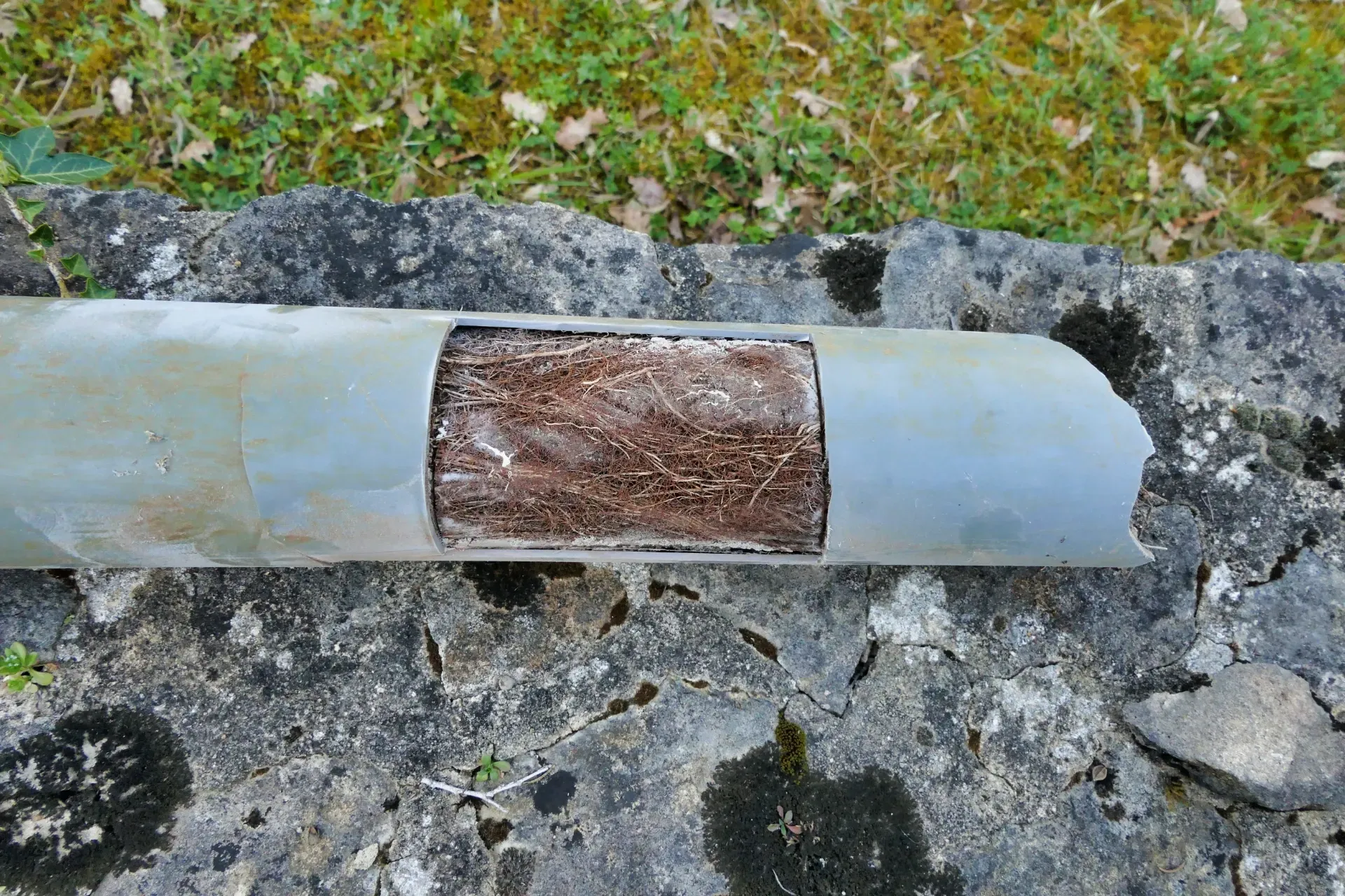 Broken gray pipe with exposed rusted interior on a rocky outdoor surface — New Gen Plumbing and Gas in Banora Point, NSW